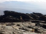 2011-10-01 12.15.35.jpg