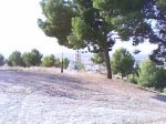 DSC00969.jpg
