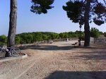 DSC00967.jpg