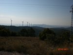 CIMG0564.jpg