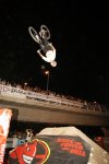 DSC03251 (402x600).jpg