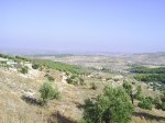 pic0003vo.jpg