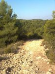 Imagen0557.jpg