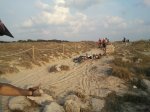 2011-10-01 08.52.44.jpg