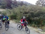 Cercegovia cochinera EC 2011-13.JPG