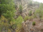 PA010234.JPG