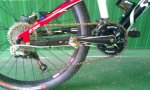 IMAG0246.jpg