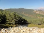 DSC04453.JPG