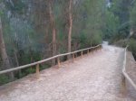verano 2011 042.2.jpg