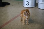IMG_1966_1024.jpg