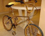 bici oro.jpg