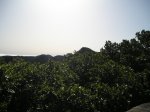 tenerife y salida crestera 002.JPG