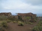 tenerife y salida crestera 029.JPG