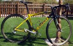 Giant 11.jpg