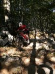 desierto-senda vieja 009.JPG
