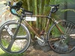 bicitriKRIMBamboomini.jpg