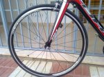ruedas shimano_800x600.jpg