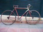 Paseo Rosa.JPG