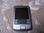 palm foro 003.jpg