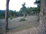 P0000008_redimensionar.JPG