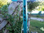 100_1751_2.jpg