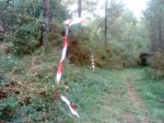DSC09872.JPG