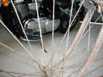 IMGP6705-e.JPG