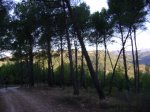 DSC04078.JPG