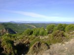 DSC04127.JPG