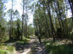 DSC04162.JPG