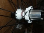 rodes 015.JPG
