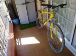 16092011869.jpg