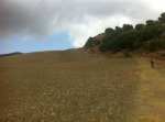 2011_10_08_ALORA 026_1.jpg