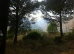 2011_10_08_ALORA 011_1.jpg