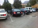 2011_10_08_ALORA 002_1.jpg