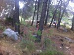 2011_10_08_ALORA 014_1.jpg