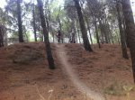 2011_10_08_ALORA 010_1.jpg