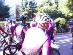 DSC00973.jpg