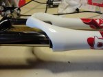 Peces bici 039.jpg