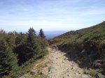 dsc00029xp.jpg