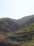 DSC08279 (Copiar).JPG
