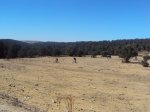 llano.jpg