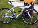 Chinarello 001.jpg