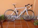 DSC00038 (Copiar).JPG