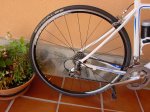 DSC00043 (Copiar).JPG