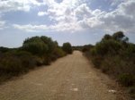 mtb cales 016b.jpg