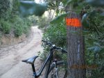 bike 007.jpg