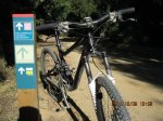 bike 013.jpg