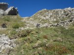 IMG_0175.JPG