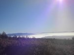 fotogorbea3.JPG